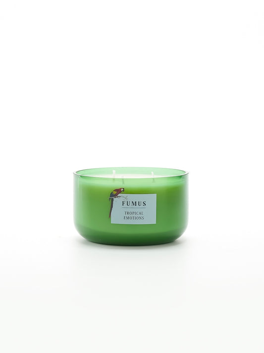 Tropical Emotions Candle
